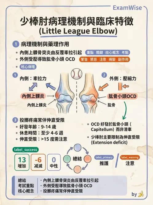 物治 - 肘及前臂關節 - AI 圖文解析預覽