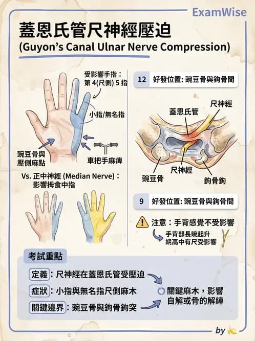 物治 - 腕關節疾病 - AI 圖文解析預覽
