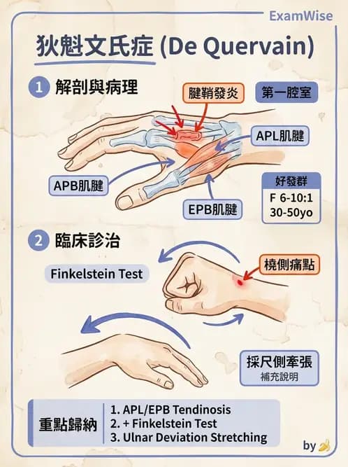 物治 - 腕關節疾病 - AI 圖文解析預覽