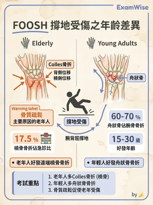 物治 - 腕關節疾病 - AI 圖文解析預覽