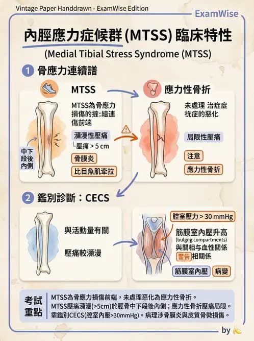 物治 - 踝關節損傷與復健 - AI 圖文解析預覽