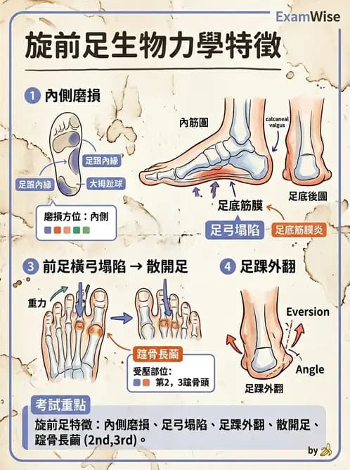 物治 - 足部病變與輔具評估 - AI 圖文解析預覽