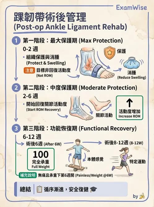 物治 - 踝關節損傷與復健 - AI 圖文解析預覽