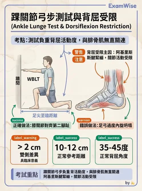 物治 - 踝關節損傷與復健 - AI 圖文解析預覽