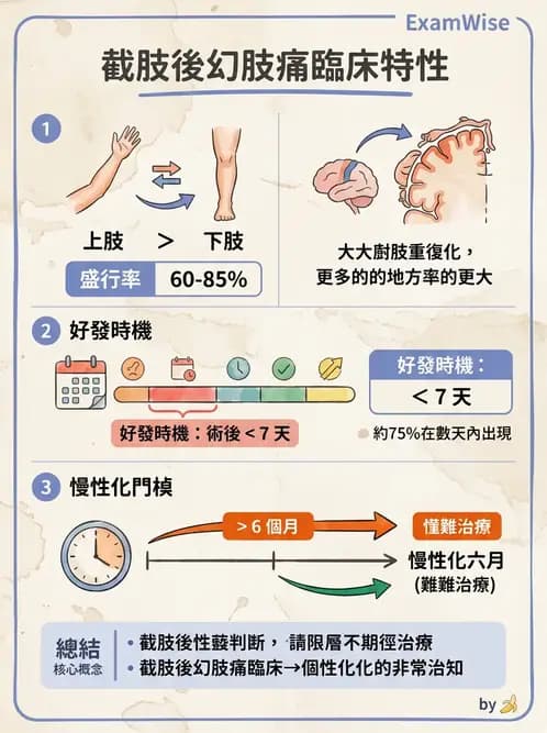物治 - 截肢 - AI 圖文解析預覽