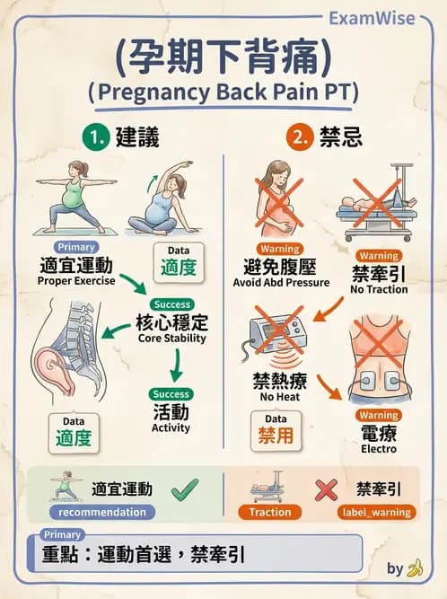 物治 - 女性健康 - AI 圖文解析預覽
