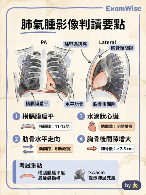 物治 - 呼吸臨床評估技術 - AI 圖文解析預覽