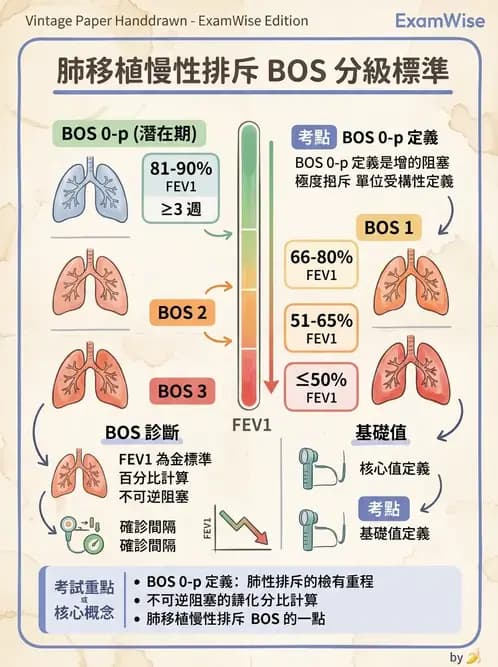 物治 - 肺功能測試與血氣體分析 - AI 圖文解析預覽