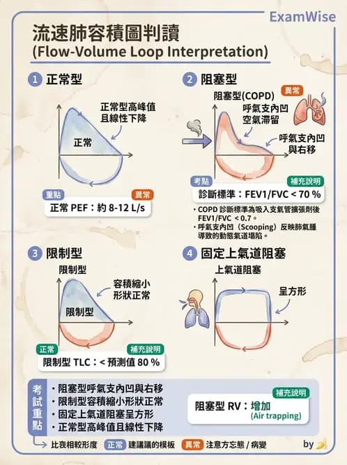 物治 - 肺功能測試與血氣體分析 - AI 圖文解析預覽