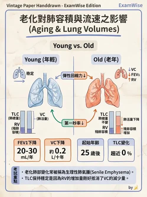 物治 - 特殊族群運動處方與健康促進 - AI 圖文解析預覽