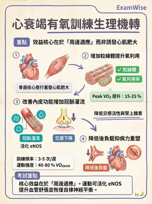 物治 - 心臟復健與運動處方 - AI 圖文解析預覽