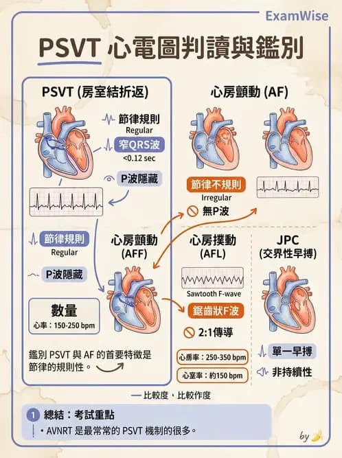 物治 - 心電圖判讀 - AI 圖文解析預覽