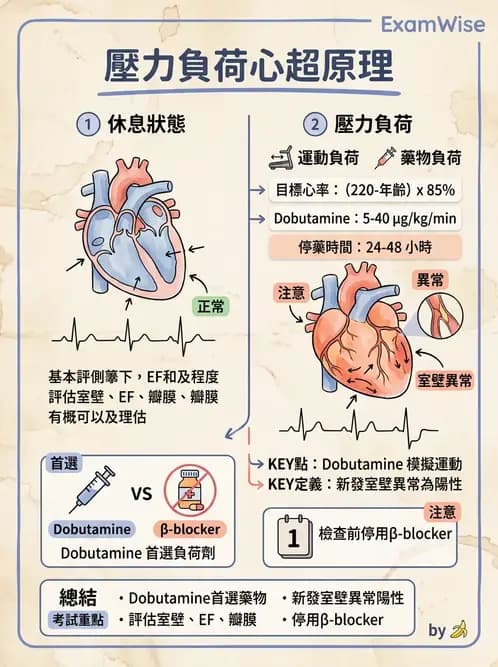 物治 - 心臟診斷工具與運動測試 - AI 圖文解析預覽