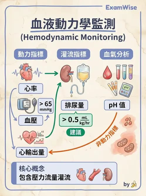 物治 - 循環解剖、生理與血流動力學 - AI 圖文解析預覽