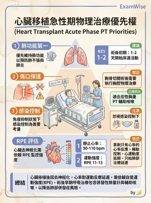 物治 - 胸腔手術、肺移植與呼吸器 - AI 圖文解析預覽