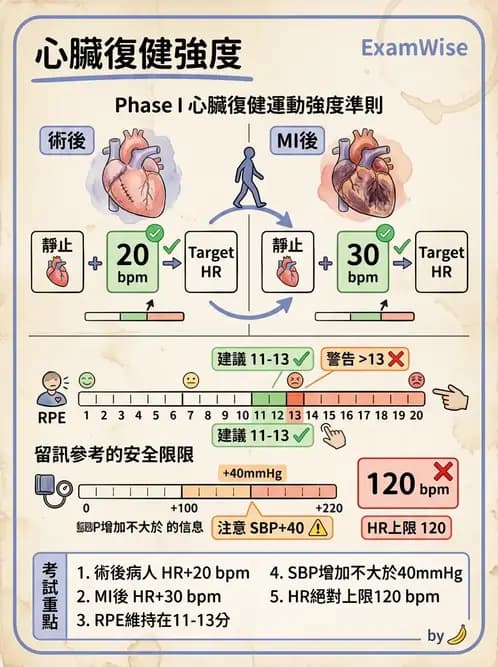 物治 - 心臟復健與運動處方 - AI 圖文解析預覽