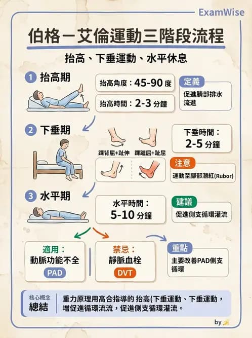 物治 - 心臟藥物、輔助裝置與周邊血管 - AI 圖文解析預覽