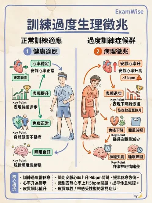 物治 - 運動篩檢與處方設計 - AI 圖文解析預覽
