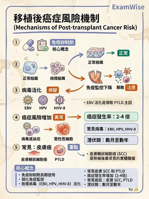 物治 - 癌症物理治療 - AI 圖文解析預覽