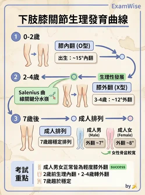 物治 - 兒童發展里程碑(動作與認知) - AI 圖文解析預覽