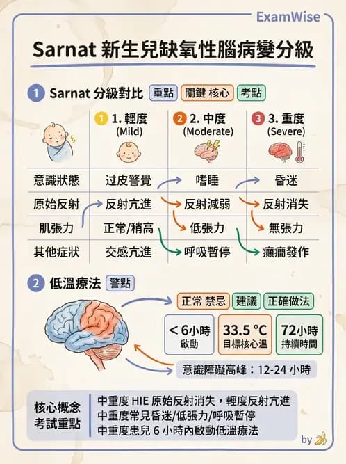 物治 - 新生兒與嬰兒發展評估 - AI 圖文解析預覽