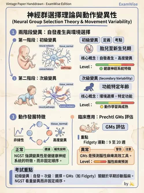 物治 - 小兒物理治療基礎與原理 - AI 圖文解析預覽
