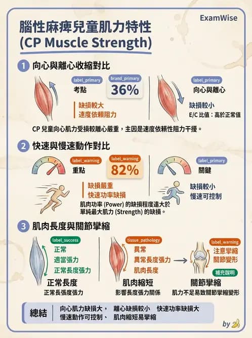 物治 - 腦性麻痺介入、手術與輔具 - AI 圖文解析預覽