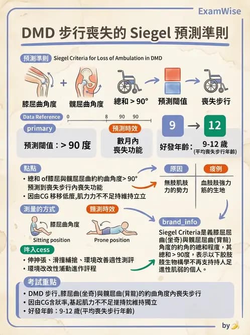 物治 - 脊柱裂、神經肌肉疾病與腦傷 - AI 圖文解析預覽