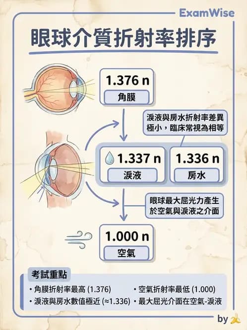 驗光師 - 眼球外層構造 - AI 圖文解析預覽