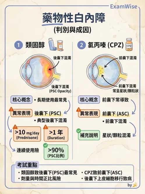 驗光師 - 水晶體與玻璃體 - AI 圖文解析預覽