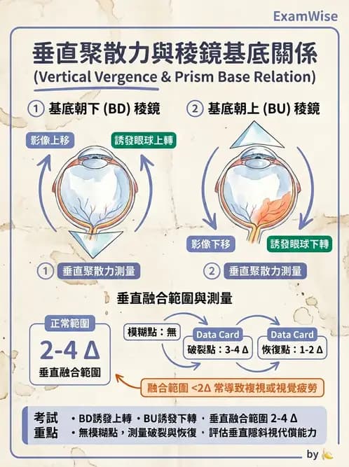 驗光師 - 調節性內聚力與聚散功能檢測 - AI 圖文解析預覽