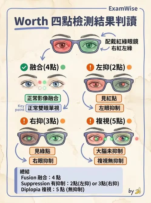 驗光師 - 調節功能與立體視融像評估 - AI 圖文解析預覽