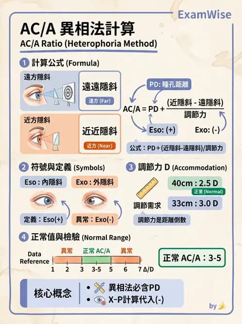 驗光師 - 調節性內聚力與聚散功能檢測 - AI 圖文解析預覽