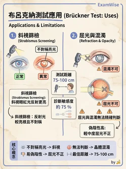 驗光師 - 眼外肌運動與眼位初步檢查 - AI 圖文解析預覽