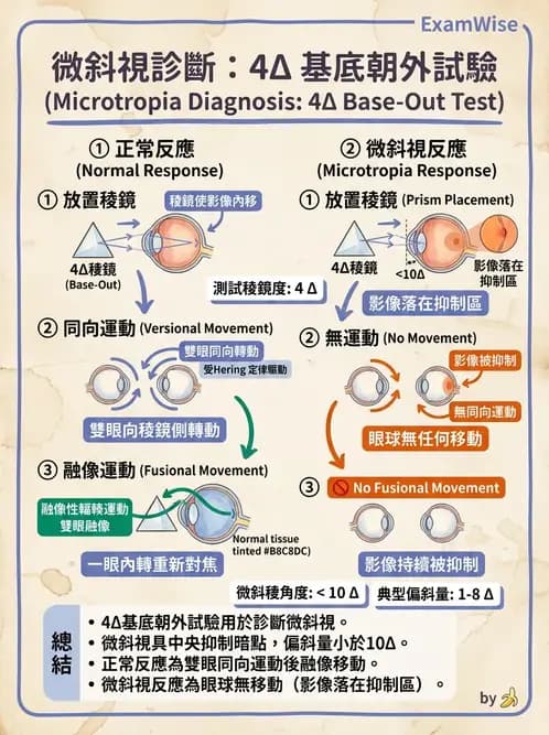 驗光師 - 弱視 - AI 圖文解析預覽