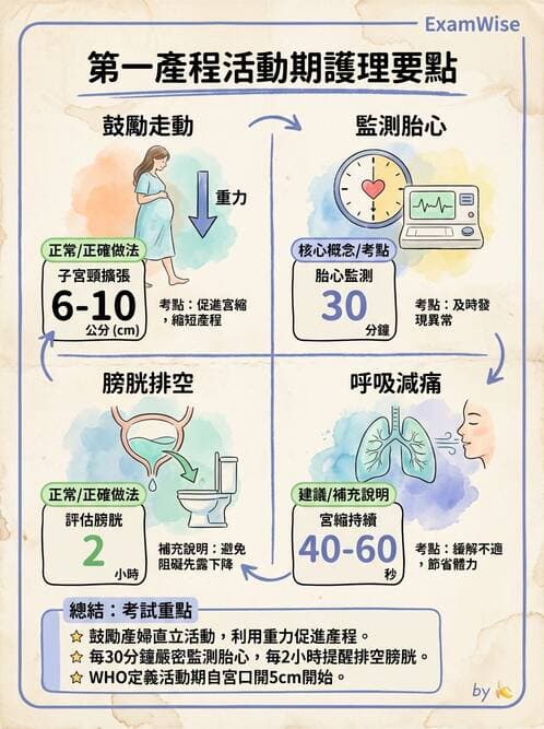 護理師 - 產程機轉與待產護理 - AI 圖文解析預覽