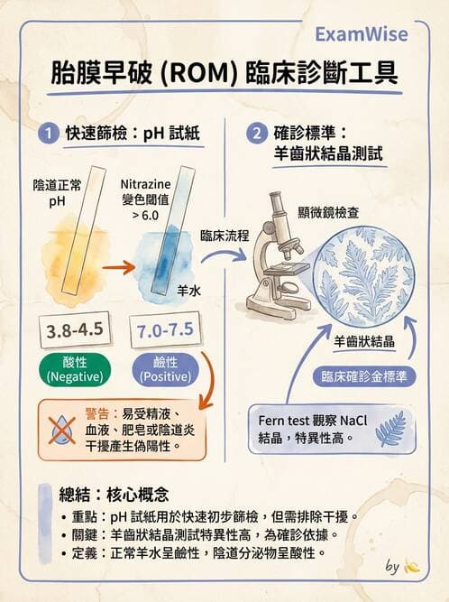 護理師 - 產程機轉與待產護理 - AI 圖文解析預覽