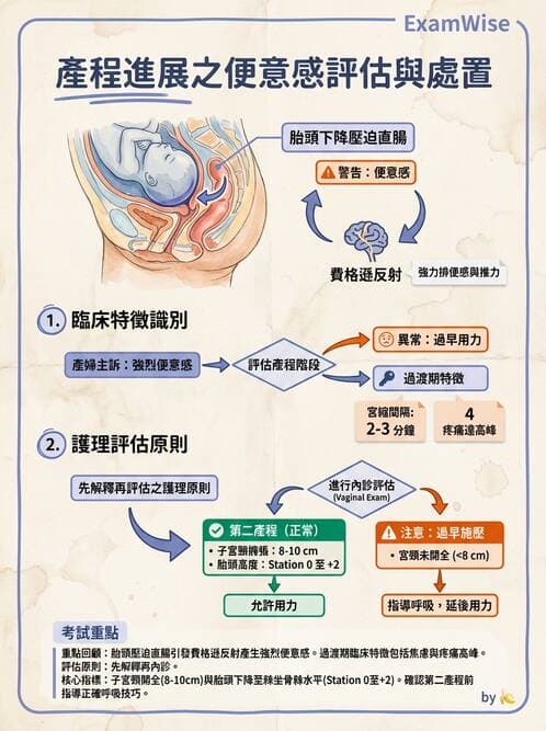 護理師 - 產程機轉與待產護理 - AI 圖文解析預覽