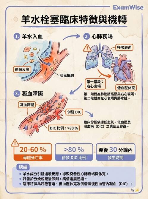 護理師 - 高危險妊娠 - AI 圖文解析預覽