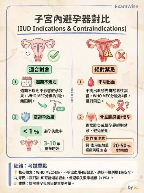 護理師 - 不孕症月經與更年期 - AI 圖文解析預覽