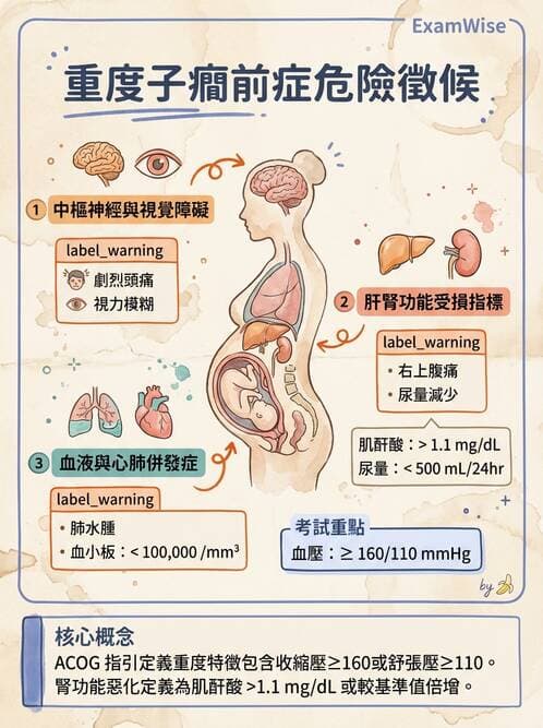 護理師 - 高危險妊娠 - AI 圖文解析預覽