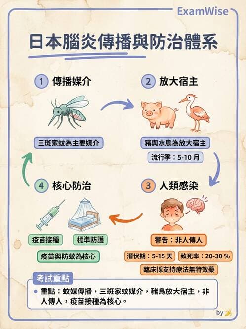 護理師 - 兒童傳染性疾病 - AI 圖文解析預覽