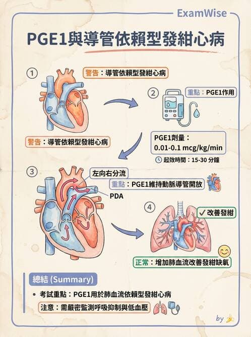 護理師 - 兒童循環系統疾病 - AI 圖文解析預覽