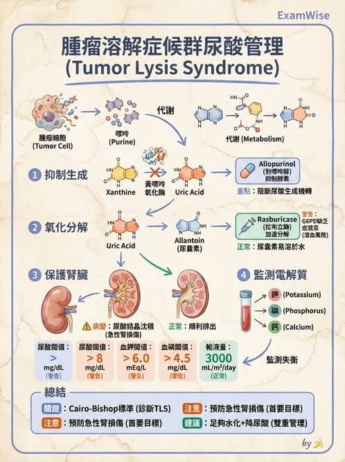 護理師 - 兒童血液與腫瘤疾病 - AI 圖文解析預覽
