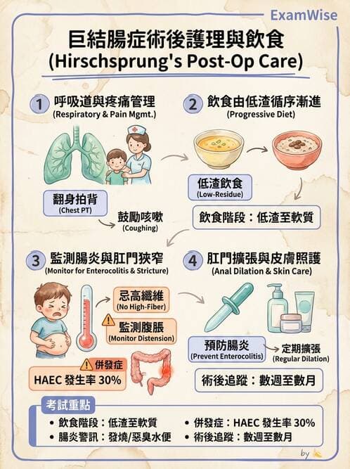 護理師 - 兒童消化系統疾病 - AI 圖文解析預覽