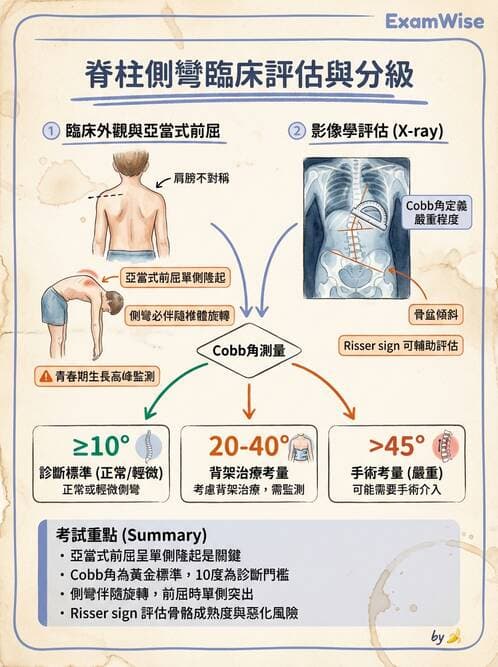 護理師 - 兒童神經肌肉骨骼疾病 - AI 圖文解析預覽