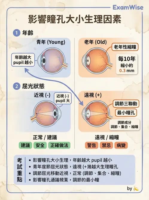 驗光師 - 老花隱形眼鏡驗配 - AI 圖文解析預覽