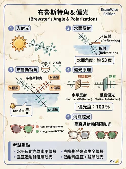 驗光師 - 鏡片鍍膜、偏光與染色 - AI 圖文解析預覽
