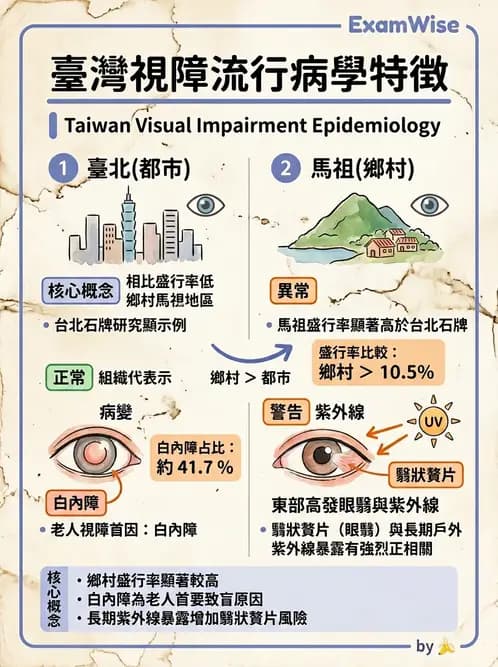 驗光師 - 視障的分類及流行分布 - AI 圖文解析預覽