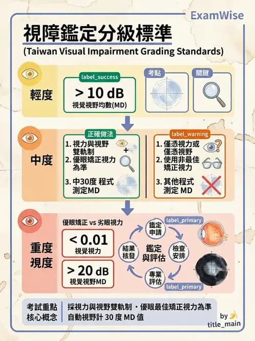 驗光師 - 視障的分類及流行分布 - AI 圖文解析預覽